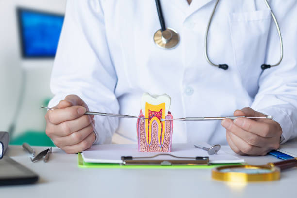 Best Cosmetic Emergency Dentistry in Capitol View, SC